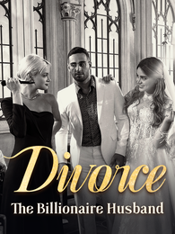 Divorce The Billionaire Husband