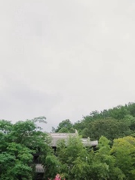 第20集 - 殘王寵妃