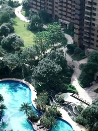 第18集 - 一鳴驚人