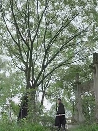 第98集 - 絕世醒龍