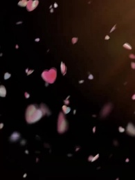 Episode 2 - [Dubbed] Heart's Vengeance: The Sheng Affair