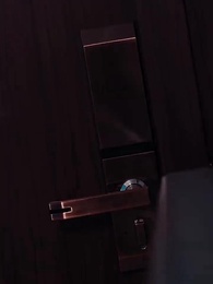 Setelah Bercerai Mantan Suami Memohon Untuk Menikah Kembali - Episode 12