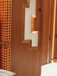 第88集 - 被校花撞飛後，我茍成了世界首富