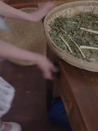 第5集 - 一胎二宝:京太掉马99天