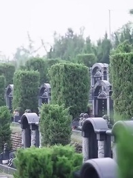 [Dubbed] The CEO's Secret Love - Episode 3