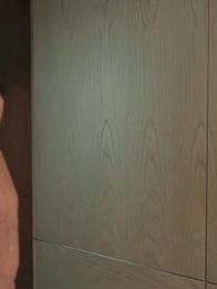 第45集 - 偏執總裁的追妻路