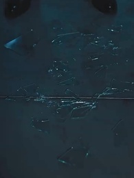 第50集 - 偷懷上司崽後，我辭職了