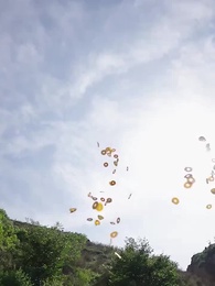 第1集 - 掘金人生