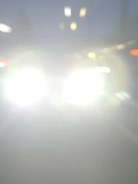 第19集 - 冷總請自重,我是你前妻