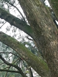 第61集 - 千千萬萬次拯救你