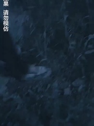 午夜驚悚遊戲 - Episode 52