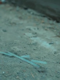 第98集 - 換命者