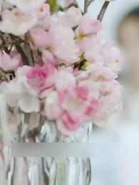 [Dubbed] Love's Celestial Vow - Episode 84