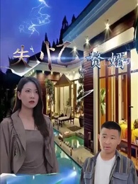 第2集 - 失憶贅婿