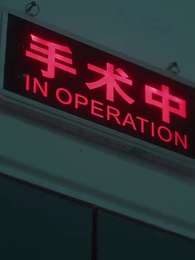 Episode 10 - [Dubbed] Love's Sunset