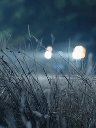 第85集 - 秦王縱橫都市