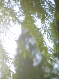 第24集 - 時間管理大師