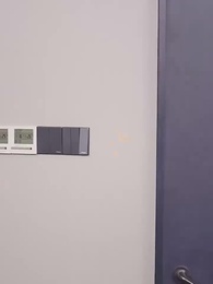 Episode 70 - [Dubbed] The Revenge of Shen Xia