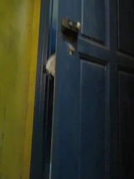 ตอนที่ 22 - เด็กน้อยที่น่ารัก: แม่ของเธอสวยและสปอร์ต