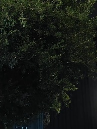 [Dubbed] Rebel Hearts - Episode 29