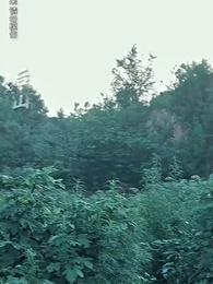 貓臉新娘 - Episode 38