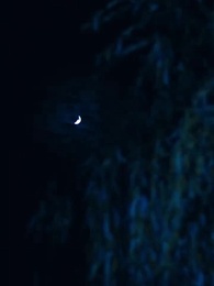 第59集 - 寒門崛起