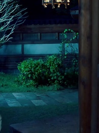 穿越之大小姐的極品家丁 - Episode 81