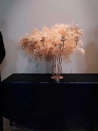 第61集 - 梟龍無雙