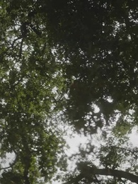 Stealing My Icey Alpha - Episode 69