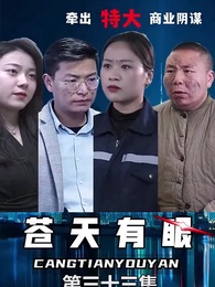 蒼天有眼 - Episode 33