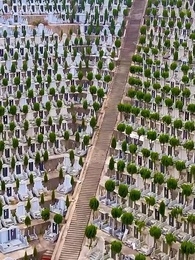 Episode 62 - [Dubbed] Love After Divorce: The Elusive Wife