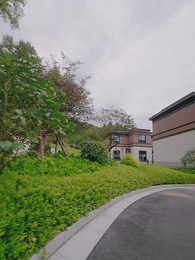 逆襲，從繼承百億集團開始 - Episode 64