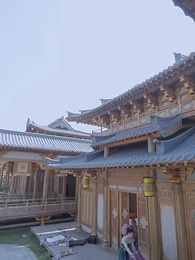 第16集 - 宸王的復仇王妃