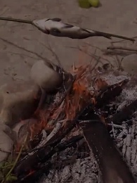 第50集 - 荒島求生