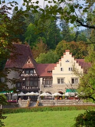 Episode 36 - The Trap of Devil Billionaire