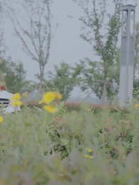 第24集 - 愛你不問歸期