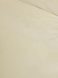 10화 - 벼락 결혼 후 비밀 갑부의 최애로 됨