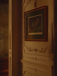 Episode 31 - Stealing My Icey Alpha