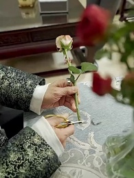 第29集 - 將軍大人成了影後