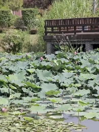 第40集 - 都市之天降巨富