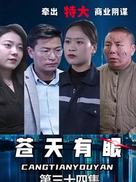 第34集 - 蒼天有眼