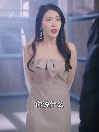 第58集 - 女總裁的貼身醫仙