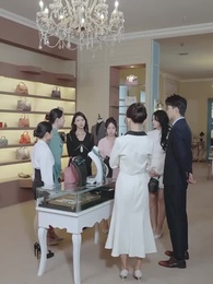 第29集 - 財團大佬來入職