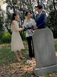 第41集 - 霍總追妻路漫漫