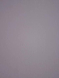 Episode 65 - [Dubbed] Rebel Hearts