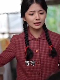 第29集 - 八零之神醫小辣妻