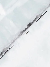 第1集 - 最強武婿