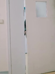 Episode 13 - [Dubbed] Love's Sunset