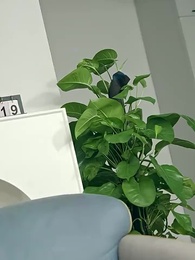 第49集 - 將軍大人成了影後