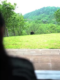 第37集 - 徒兒你無敵了，下山去吧